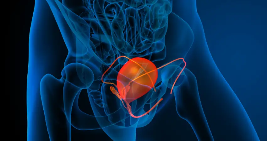 Biohacking your bladder with thiamine